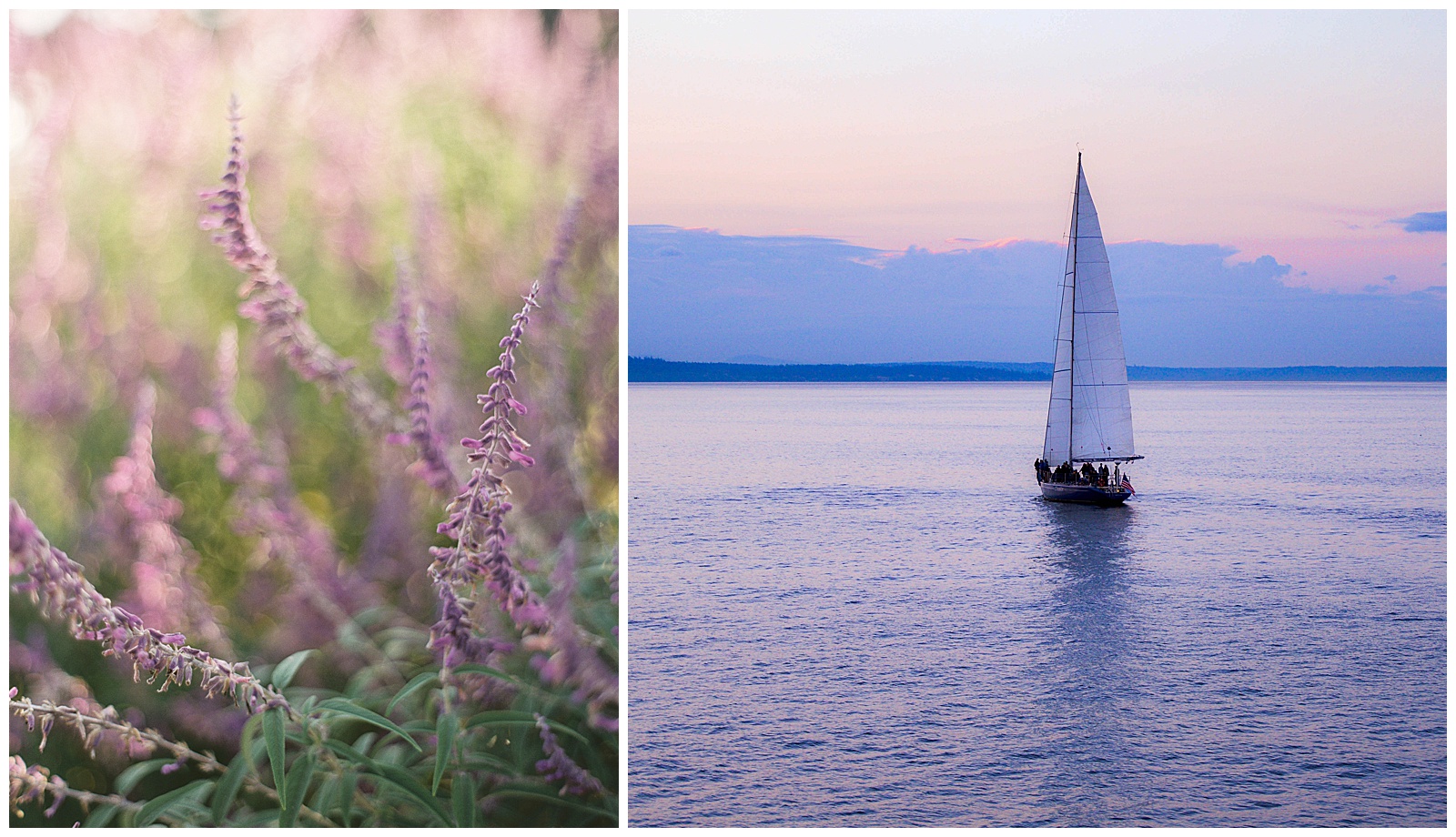 Where to take photos in Door County in the summer time: lavender fields and Sister Bay Marina