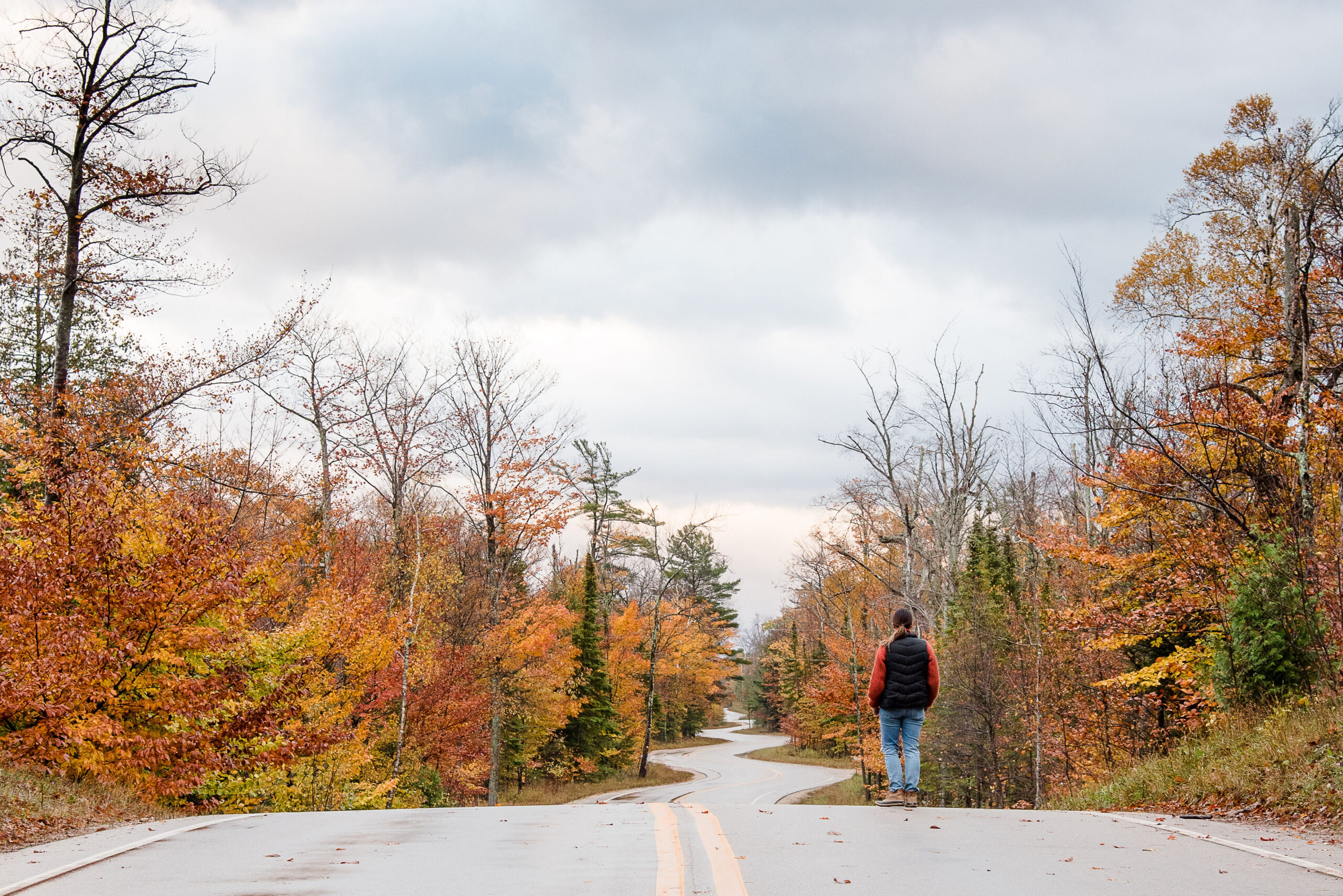 best fall foliage drives in door county to jens jensens windy road